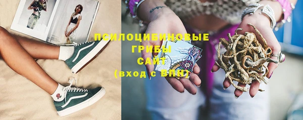 амф Михайловск